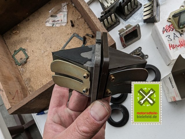 PXL_20240518_155110292